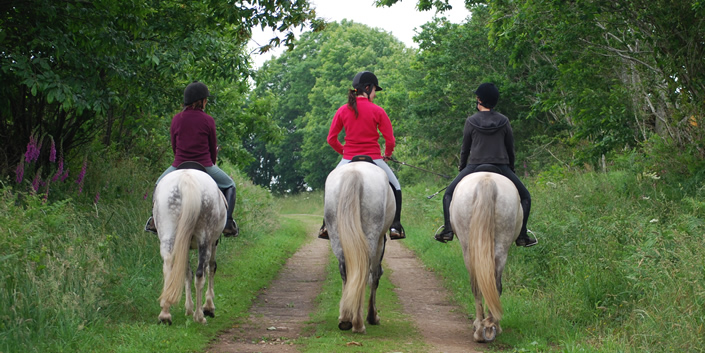 La pratique de l’équitation et ses risques